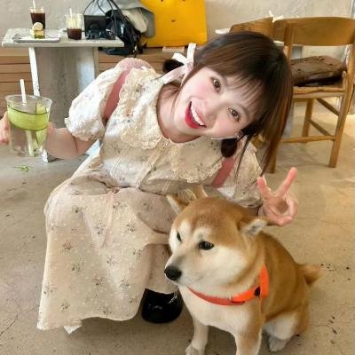 鲸鱼马戏团